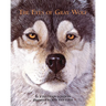 The Eyes of Gray Wolf