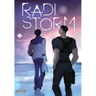 Radio Storm, Vol. 2