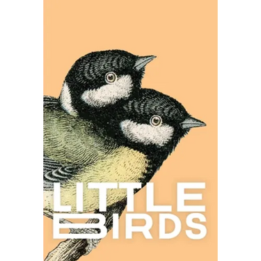 Little Birds