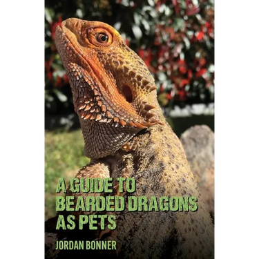 Guide to Bearded Dragons as Pets