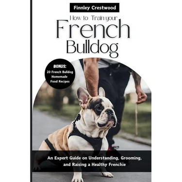 How to Train Your French Bulldog: An Expert Guide on Understanding, Grooming, and Raising a Healthy Frenchie