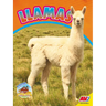 Llamas