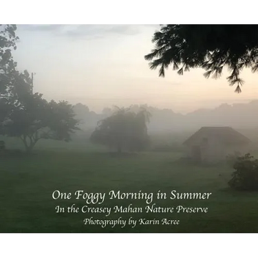 One Foggy Morning in Summer: In the Creasey Mahan Nature Preserve