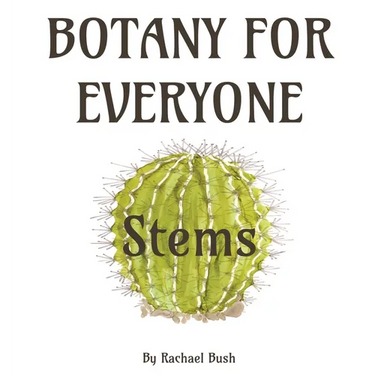 Botany for Everyone: Stems