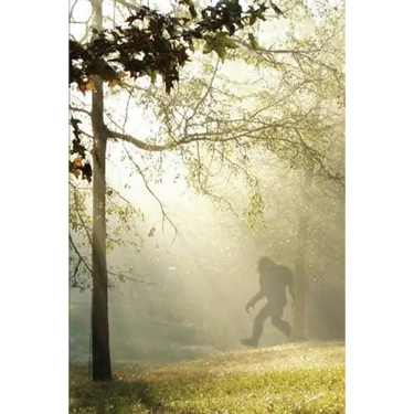 Finding Bigfoot and Other Stories