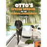 Otto's Special Mission In The Florida Everglades: A Dog's Mission to Save the Everglades, One Adventure at a Time
