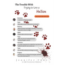 The Trouble with Trying to Love a Hellion