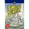 Bumbling Through Sumatra