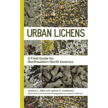 Urban Lichens: A Field Guide for Northeastern North America