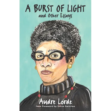 A Burst of Light and Other Essays