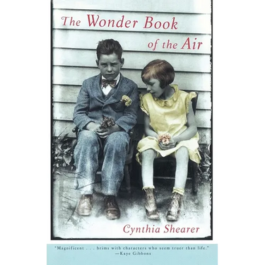 The Wonder Book of the Air