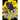 Raptors of Paradise: Volume 1