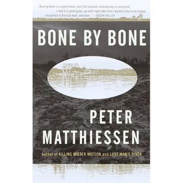 Bone by Bone: Shadow Country Trilogy (3)