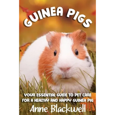 Guinea Pigs: Your Essential Care Guide for a Healthy and Happy Guinea Pig