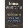 Intense Stewardship: Models from the Book of Mormon