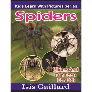 Spiders: Photos and Fun Facts for Kids
