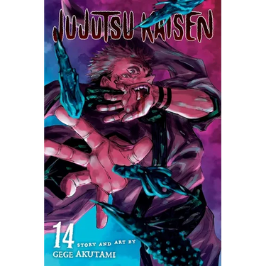 Jujutsu Kaisen, Vol. 14: The Shibuya Incident--Right and Wrong--
