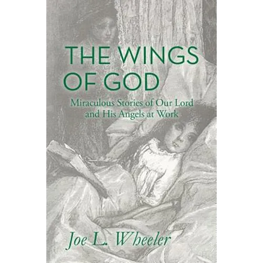 The Wings of God: Miraculous Stories of Our Lord and His Angels at Work