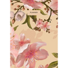 Planner: Start Anytime Undated 52 Week Planner For Efficiency & Productivity, Organizer for Goal-setting, Task Management, Budg