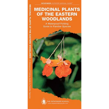 Medicinal Plants of the Eastern Woodlands: A Folding Pocket Guide to Familiar Species