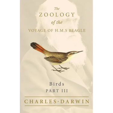Birds - Part III - The Zoology of the Voyage of H.M.S Beagle; Under the Command of Captain Fitzroy - During the Years 1832 to 1836