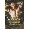 The Nameless Trickster: A Rumplestiltskin Retelling