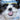 I've Been Picked! Chopper's "Tail" of Adoption