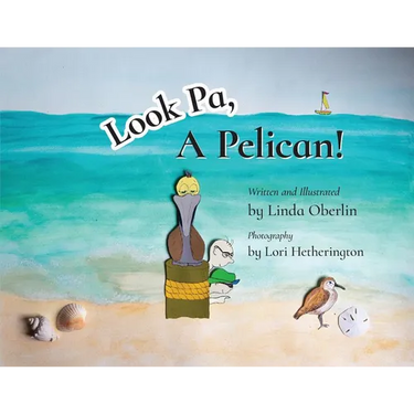 Look Pa, A Pelican!