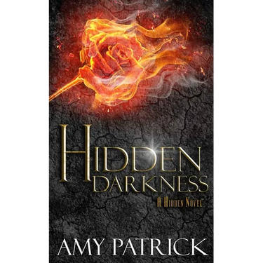 Hidden Darkness, Book 4 of the Hidden Saga