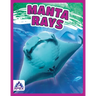 Manta Rays