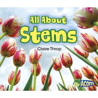 All about Stems