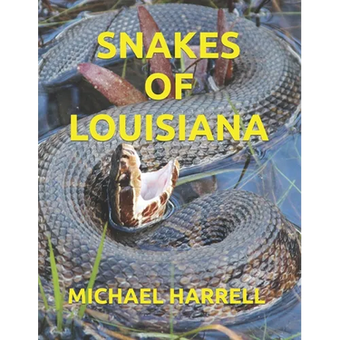 Snakes of Louisiana