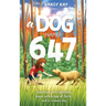 A Dog Named 647