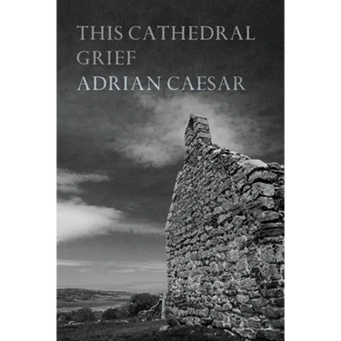This Cathedral Grief