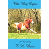 The Big Open