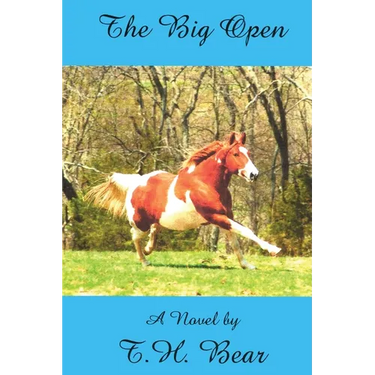 The Big Open