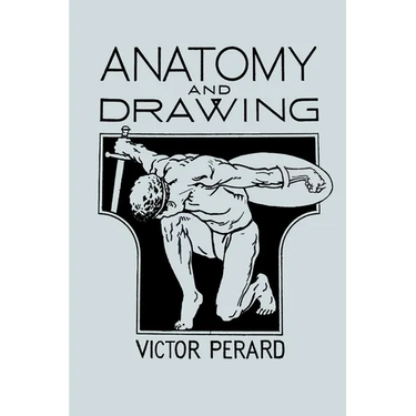Anatomy and Drawing