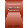 Introduction to Phenomenology