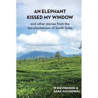 An elephant kissed my window: and other stories from the tea plantations of South India