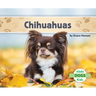 Chihuahuas