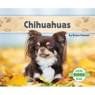 Chihuahuas
