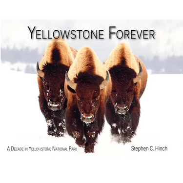 Yellowstone Forever: A Decade in Yellowstone National Park