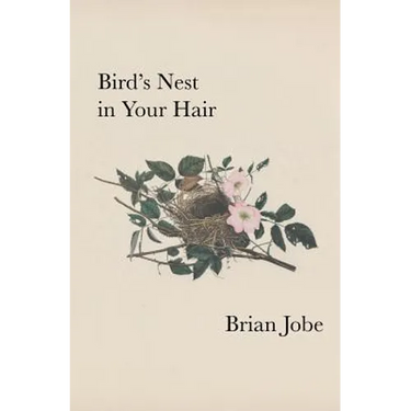 Birds Nest In Your Hair
