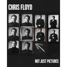 Chris Floyd: Not Just Pictures