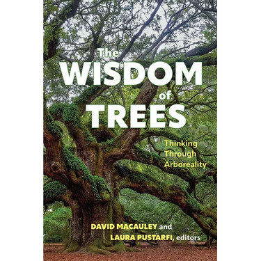 The Wisdom of Trees: Thinking Through Arboreality