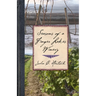 Seasons of a Finger Lakes Winery
