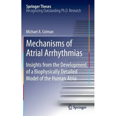 Mechanisms of Atrial Arrhythmias: Insights from the Development of a Biophysically Detailed Model of the Human Atria