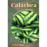 Calathea: Plant overview and guide