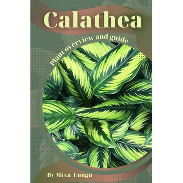 Calathea: Plant overview and guide