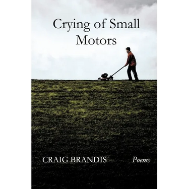Crying of Small Motors